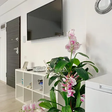 Aparthotelmamaianord 604 Building Stefan 3 아파트 *